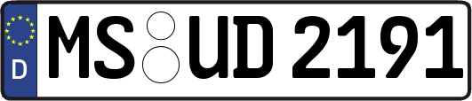 MS-UD2191