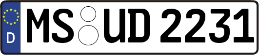 MS-UD2231