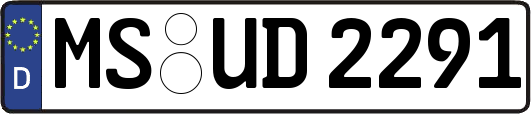 MS-UD2291