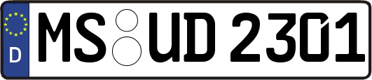 MS-UD2301