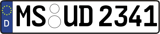 MS-UD2341