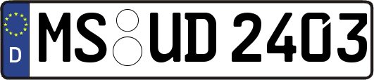 MS-UD2403