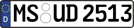 MS-UD2513