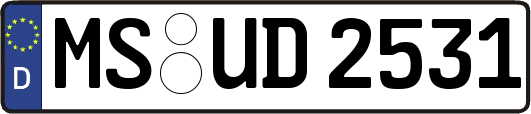 MS-UD2531