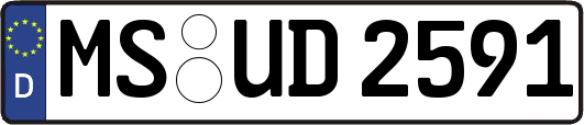 MS-UD2591