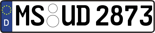 MS-UD2873