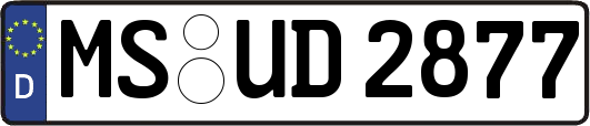MS-UD2877
