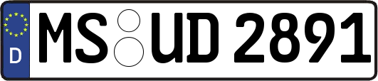 MS-UD2891