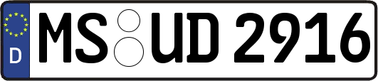 MS-UD2916