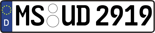 MS-UD2919