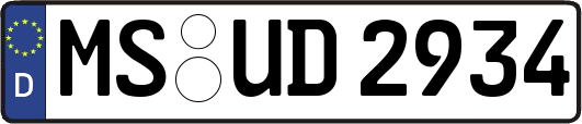 MS-UD2934