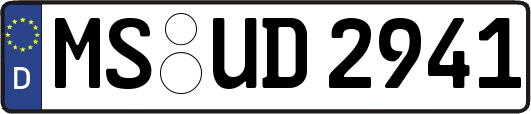 MS-UD2941