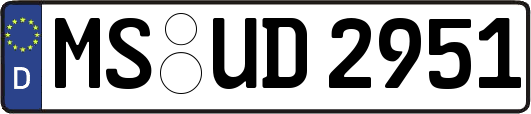 MS-UD2951