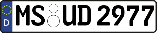 MS-UD2977