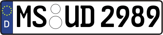 MS-UD2989