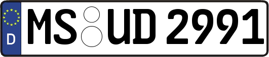 MS-UD2991