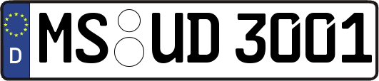 MS-UD3001