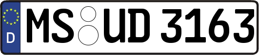 MS-UD3163