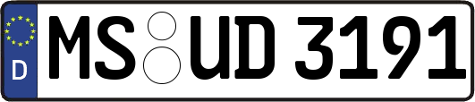 MS-UD3191