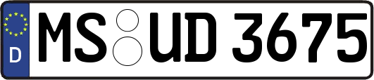 MS-UD3675
