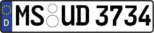 MS-UD3734