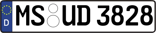MS-UD3828