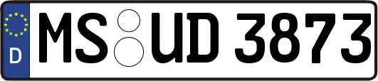 MS-UD3873