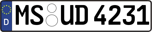 MS-UD4231