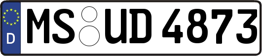 MS-UD4873