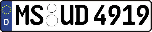 MS-UD4919