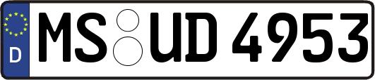 MS-UD4953