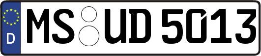 MS-UD5013