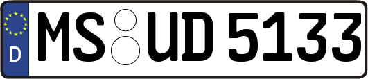 MS-UD5133