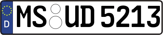 MS-UD5213