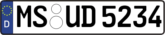 MS-UD5234