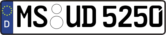 MS-UD5250