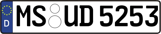 MS-UD5253
