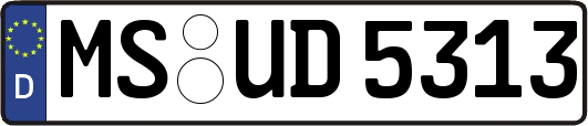 MS-UD5313