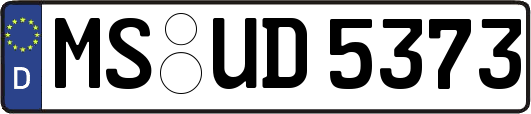 MS-UD5373