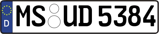MS-UD5384