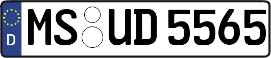 MS-UD5565