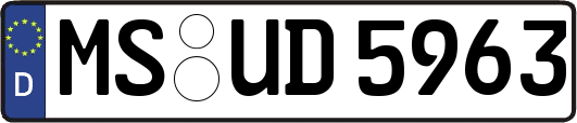 MS-UD5963
