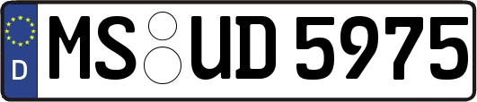 MS-UD5975