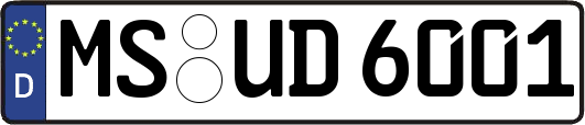 MS-UD6001