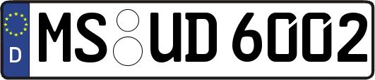 MS-UD6002