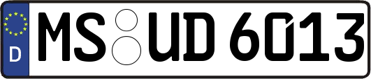 MS-UD6013