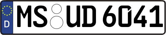 MS-UD6041