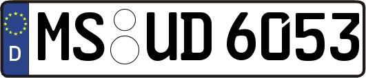MS-UD6053