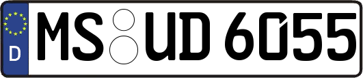 MS-UD6055
