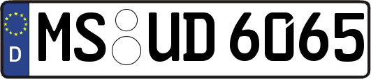MS-UD6065